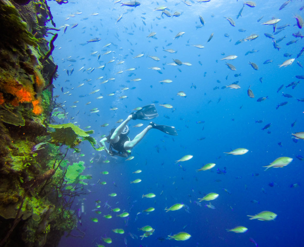 Scuba diver at the Wall with fish