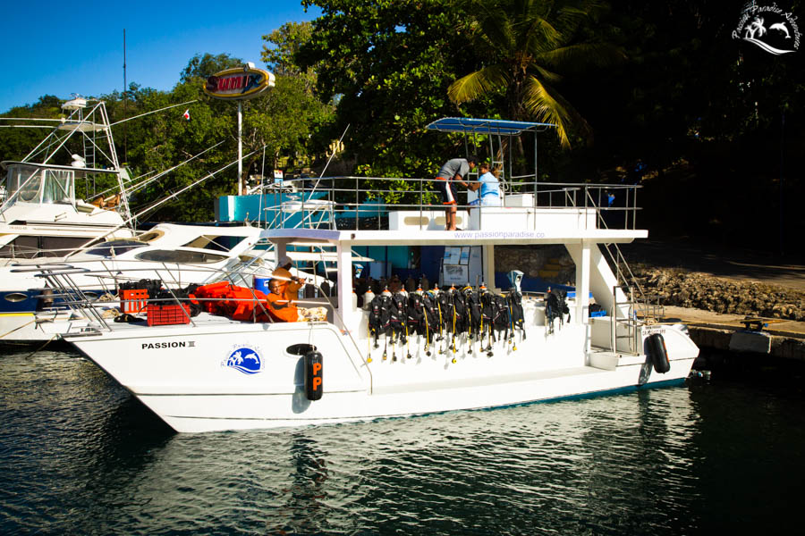 The new boat ready for the day's guests