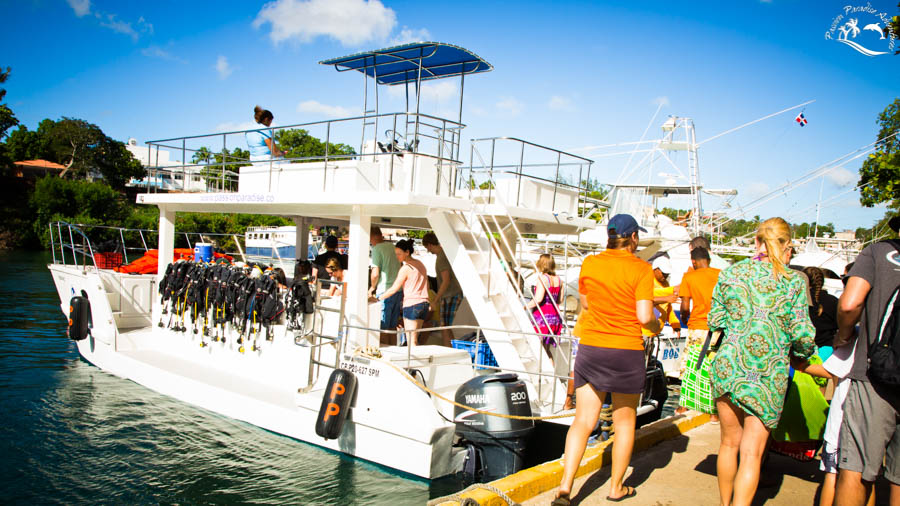 Staff helping to guide the guests over to the new boat