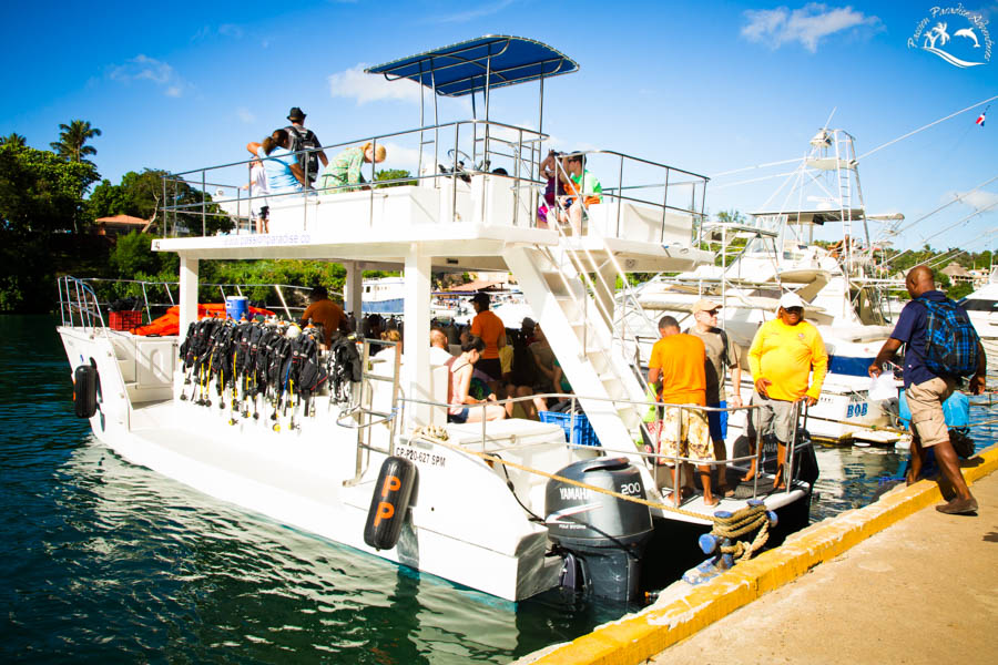 The last guests boarding the boat to Catalina Island