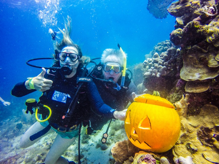 A couple enjoying their photo taken with the pumpkin