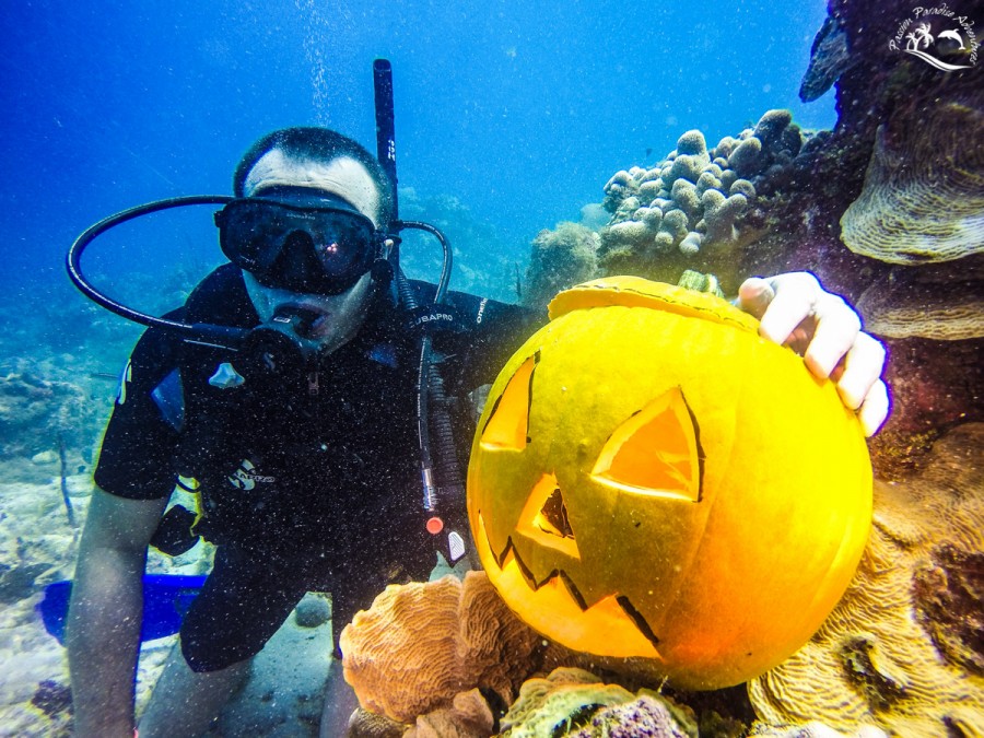 Guest enjoying his photo taken with the pumpkin