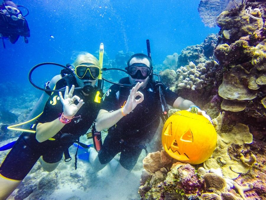 Passion Paradise Adventures team halloween pumpkin scuba diving off the Aquarium on the west side of Catalina Island with guests enjoying their photo being taken