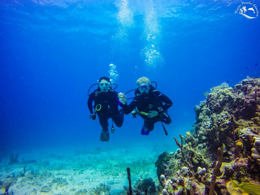 Josh and Erin enjoying their honeymoon scuba diving off Catalina Island with Passion Paradise Adventures