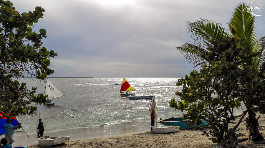 Kids preparing for there international sailing competition in the Dominican Republic heading out to start there race drills