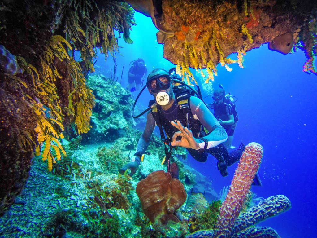 dive trips to catalina island