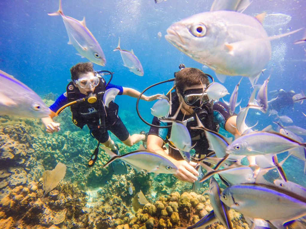 Couple scuba diving in paradise