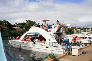 'Paradise' with diving and snorkeling customers