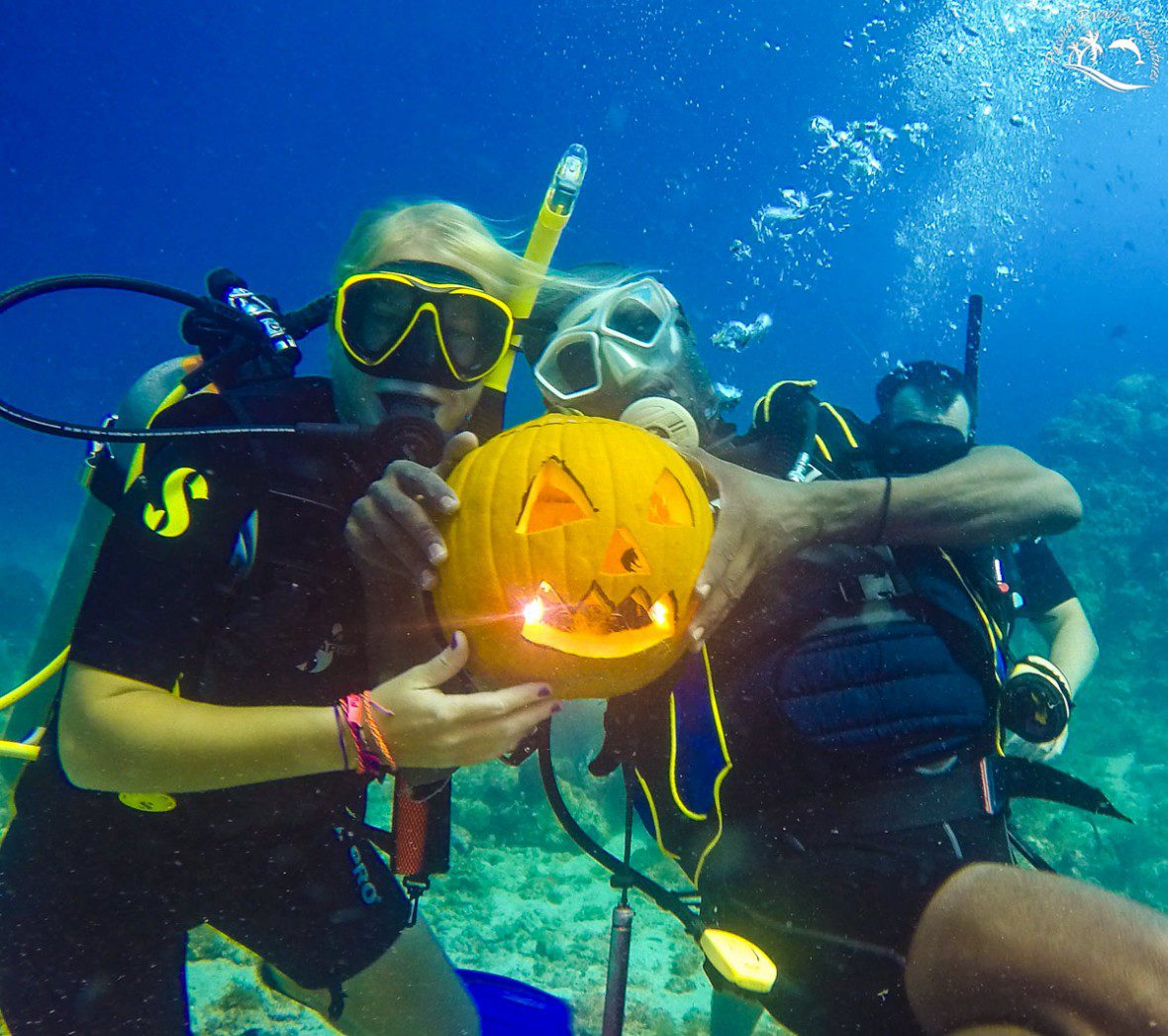 Halloween at Catalina Island