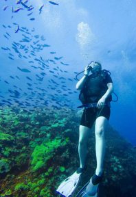 Catalina Island Excursion